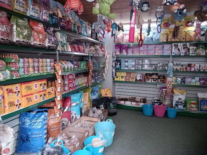 Chloes Creature Comforts Picture 7