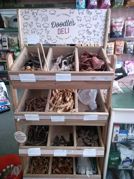 Chloes Creature Comforts Picture 3