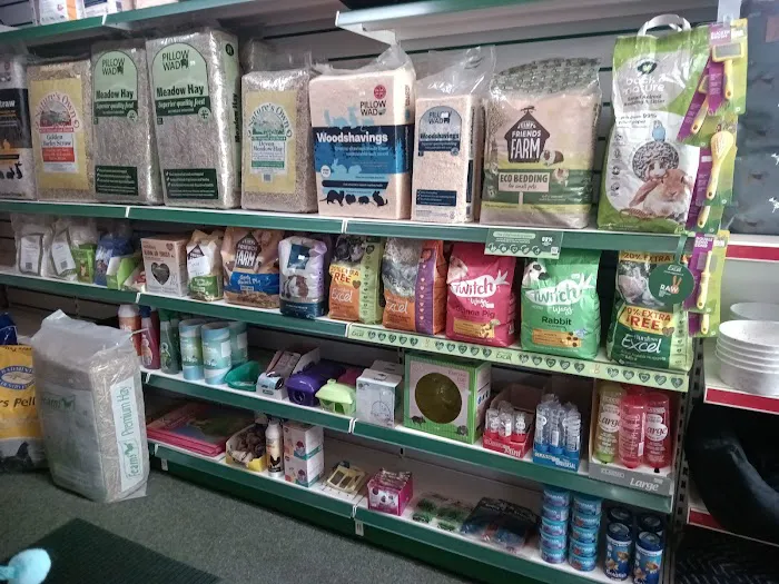 Chloes Creature Comforts Picture 5