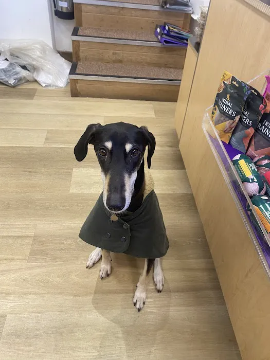 Pets Corner Picture 6