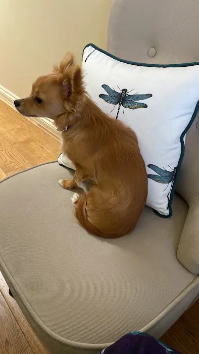 Pets Corner Picture 1