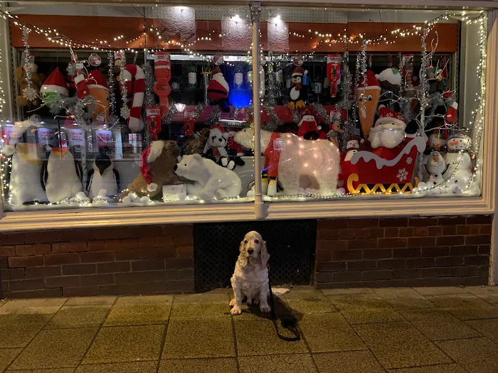 The Pet Shop Ripon Picture 10