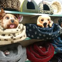 The Pet Shop Ripon ico