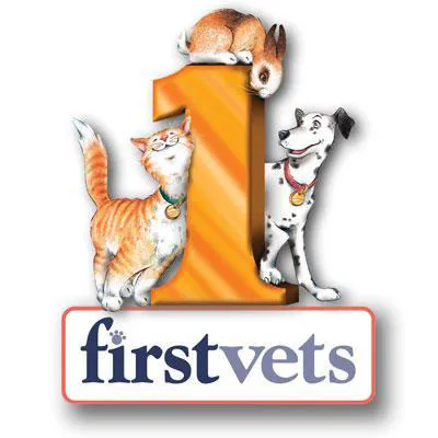 firstvets - Low Fell Picture 1
