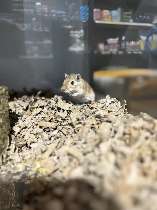 Yorkshire Feed & Country Store Picture 1