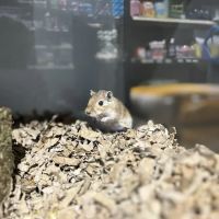 Yorkshire Feed & Country Store ico