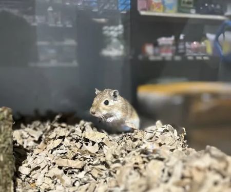 Yorkshire Feed & Country Store