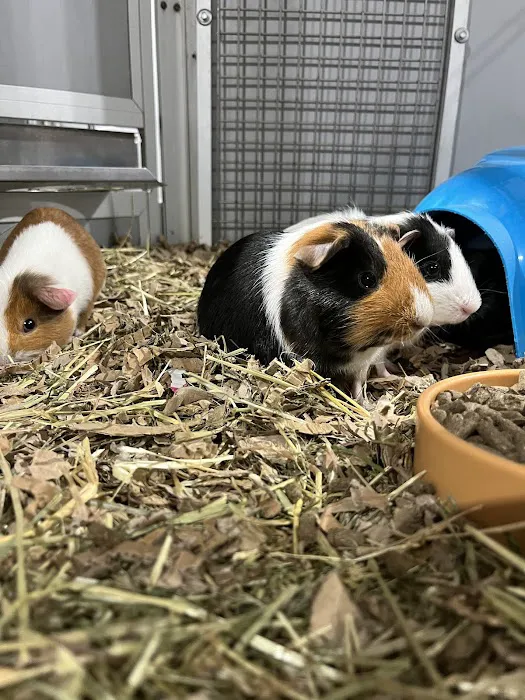 Yorkshire Feed & Country Store Picture 3