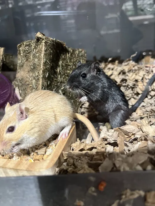 Yorkshire Feed & Country Store Picture 6