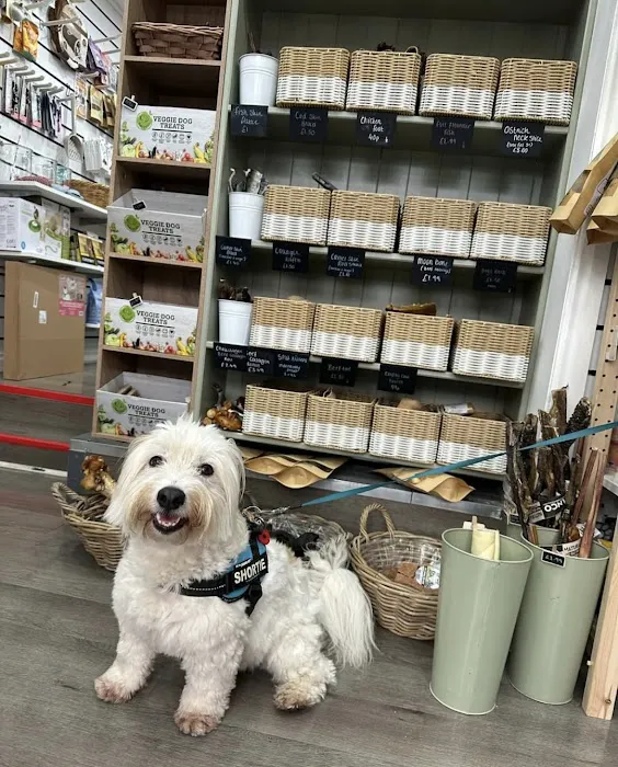 Moose&Me Natural Pet Shop Picture 2