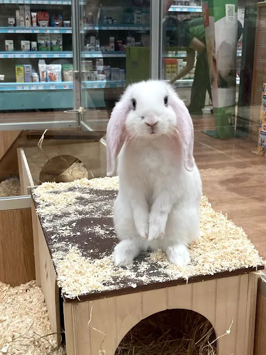 Pets at Home Harrogate Picture 8