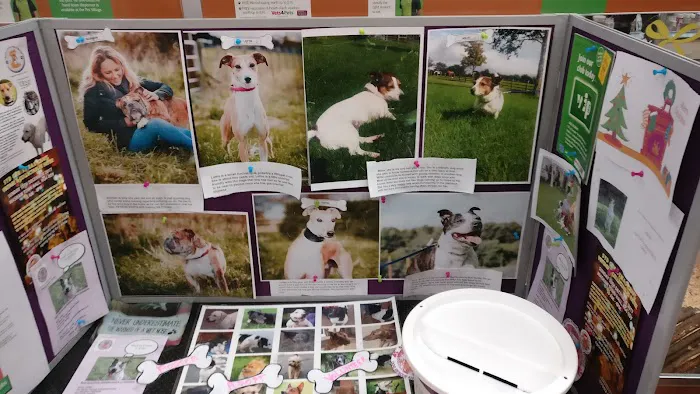 Pets at Home Harrogate Picture 3