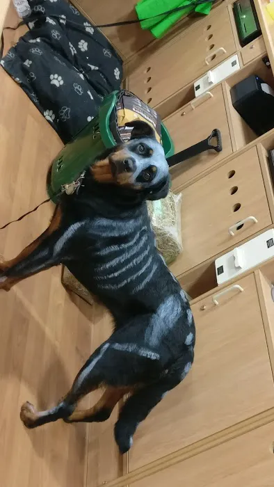 Pets at Home Harrogate Picture 7