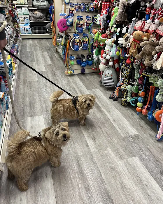 Paw Prints Pet Store Picture 4