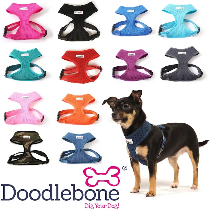 Paw Prints Pet Store Picture 7