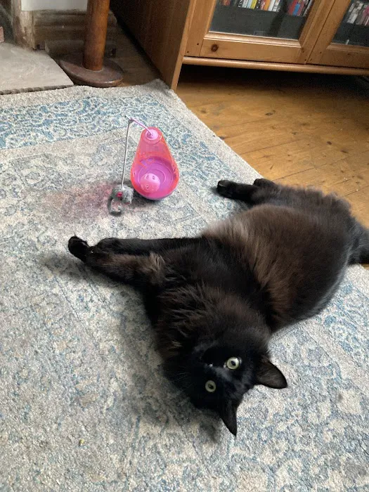 Paw Prints Pet Store Picture 2