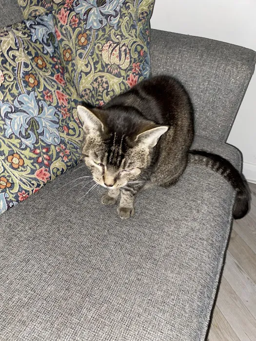 Pets Corner Picture 1