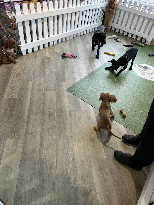 Pets Corner Picture 8