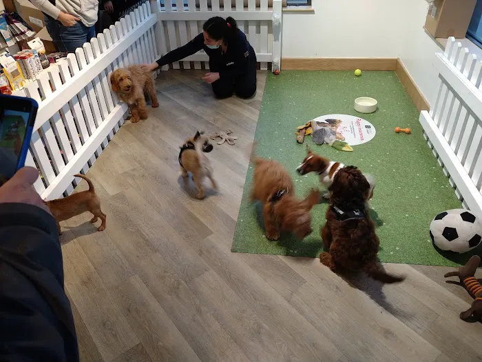 Pets Corner Picture 4