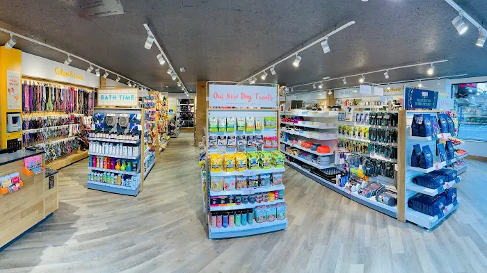 Pets Corner Picture 3