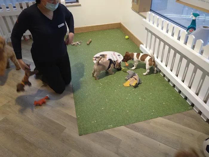 Pets Corner Picture 9