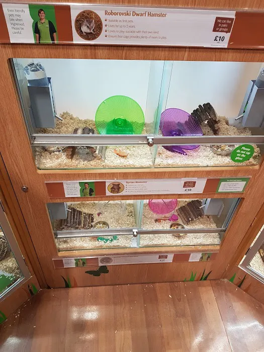 Pets at Home Kendal Picture 4