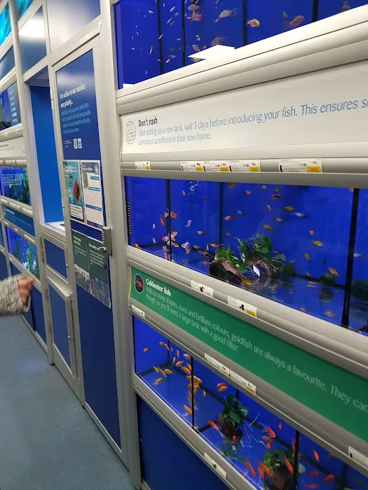 Pets at Home Kendal Picture 3