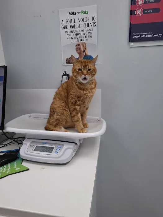 Pets at Home Kendal Picture 10