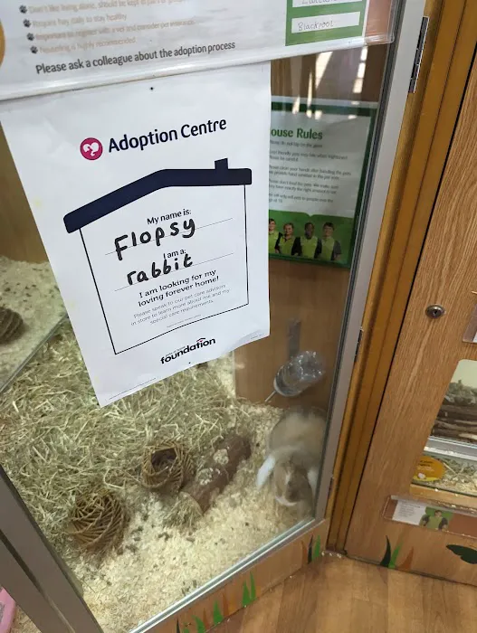 Pets at Home Kendal Picture 6