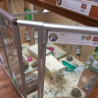 Pets at Home Kendal ico