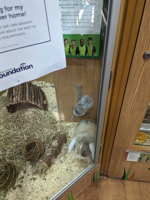 Pets at Home Kendal Picture 9