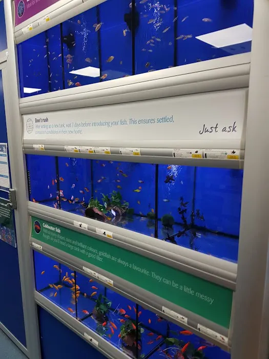 Pets at Home Kendal Picture 2