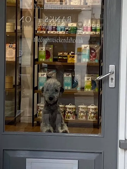 The Doghouse Kendal Picture 7