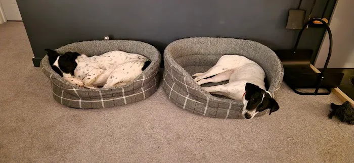 Slims Pet Shop Picture 4