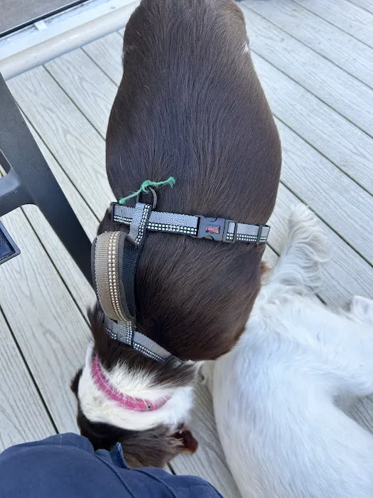 The Wainwright Shelter Shop Picture 1