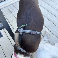 The Wainwright Shelter Shop ico