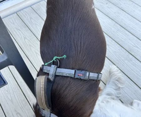 The Wainwright Shelter Shop