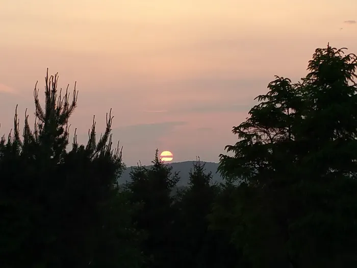 Robert I Raw Picture 1