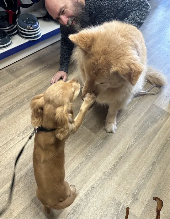 Pace Pet Supplies Picture 8