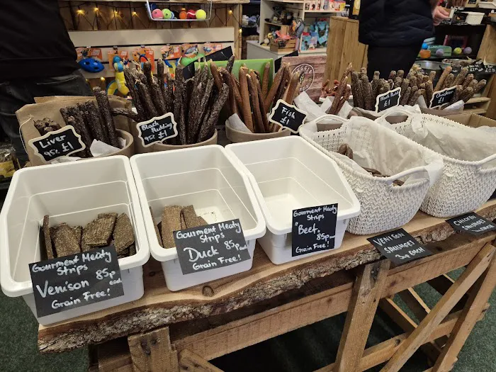 Pawlina's Pet Shop Picture 6