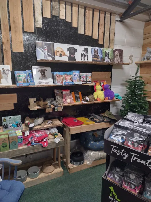 Pawlina's Pet Shop Picture 1