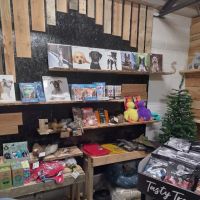 Pawlina's Pet Shop ico