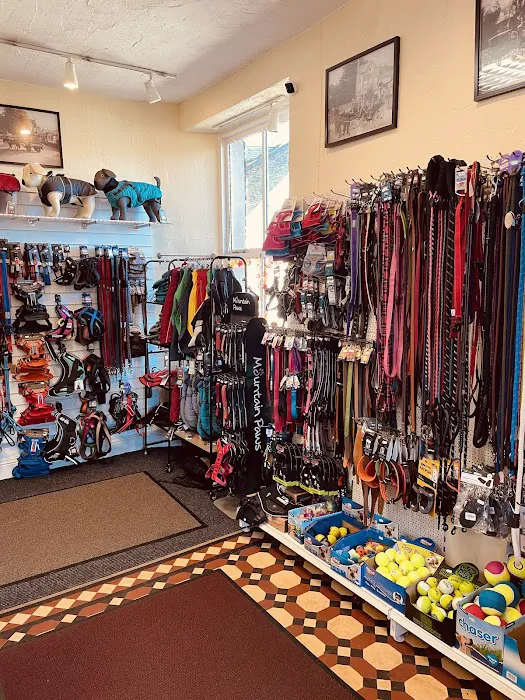 Paws by the Lake - Ambleside Pet & Gift Shop Picture 8