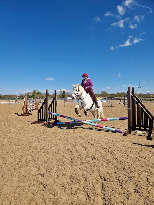 Northern Equine Therapy Centre Picture 3