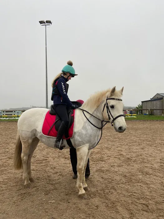 Northern Equine Therapy Centre Picture 7