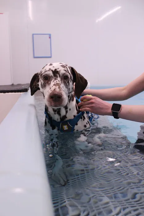 Northern Canine Therapy Centre Picture 3