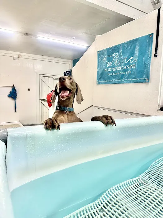 Northern Canine Therapy Centre Picture 6