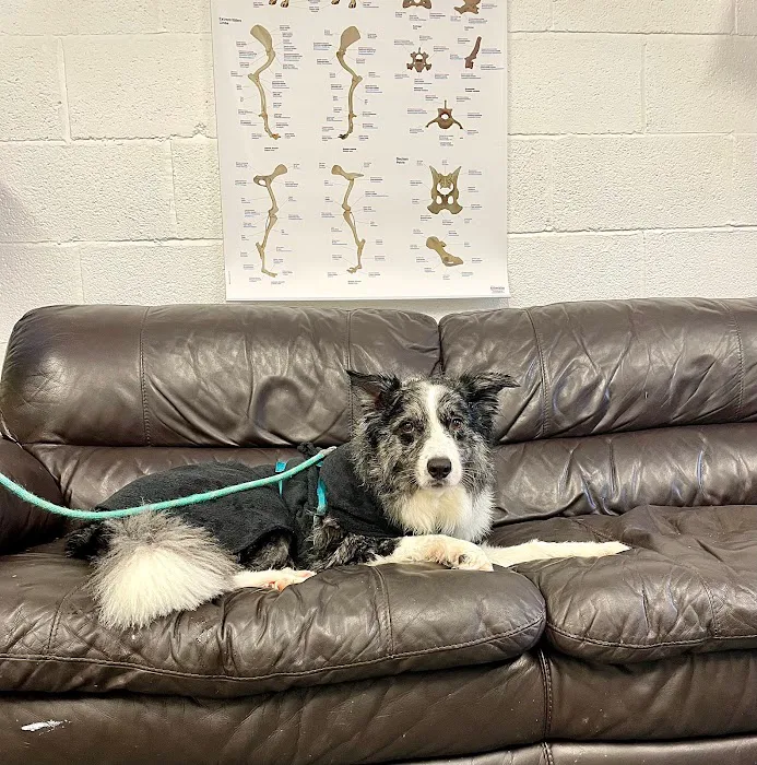 Northern Canine Therapy Centre Picture 10