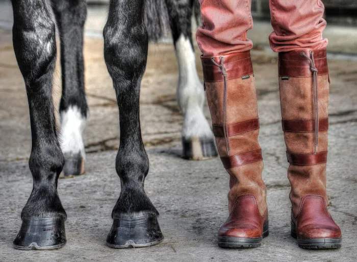 North West Equine Vets Ltd. Picture 3