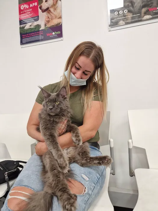 Vets for Pets - Kendal Picture 4